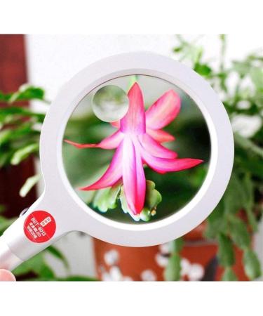 Lightweight Magnifying Glass Handheld Led 10/20 Times Portable Magnifying Glass with Light for Reading by Elderly and Children Lofty Ambition - Buy Online on GoSupps.com