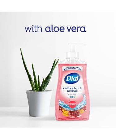 Dial Antibacterial Liquid Hand Soap Pomegranate Tangerine 325ml Tangerine 325 ml (Pack of 1) - Buy Online on GoSupps.com