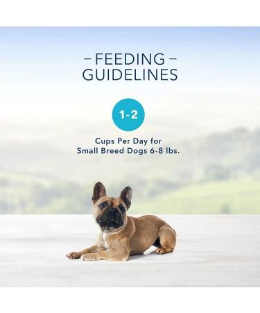 Blue Buffalo Delights Small Breed Wet Dog Food Pate - Filet Mignon & Porterhouse 3.5oz Cups (12 Pack) - Buy Online on GoSupps.com
