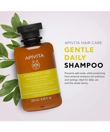APIVITA Gentle Daily Shampoo - Sulfate Free Hair Care for Men & Women | Hydrates Protects Scalp & Prevents Split Ends | Rosemary Honey & Chamomile | All Hair Types - 8.45 Fl Oz - Buy Online on GoSupps.com