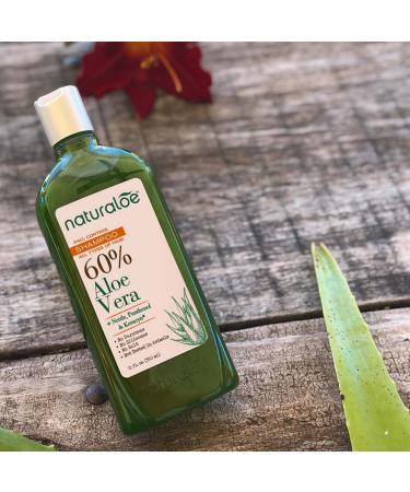 Hair Fall Control Shampoo - 100% Vegan Aloe Vera Infused Eco-Friendly & Cruelty-Free | No Parabens or Silicones - 12 fl oz - Buy Online on GoSupps.com