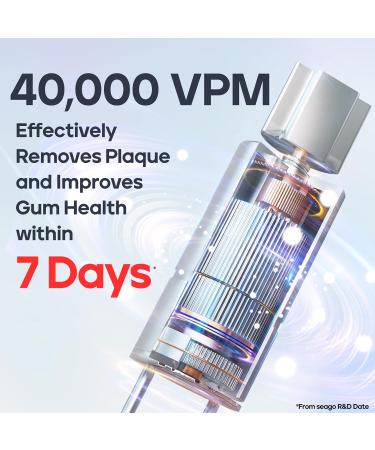 SEAGO Electric Toothbrush - Rechargeable Sonic Toothbrush with 30-Day Battery 5 Modes 2-Min Timer & 10 Brush Heads (Black) | Portable & Ideal for Adults - Buy Online on GoSupps.com