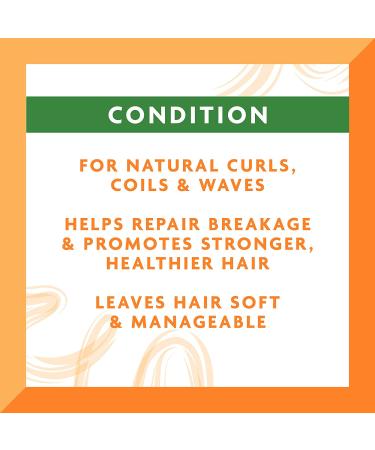 Cantu Leave-In Conditioning Cream with Shea Butter for Natural Hair 12 oz - Moisturizing Formula - Buy Online on GoSupps.com