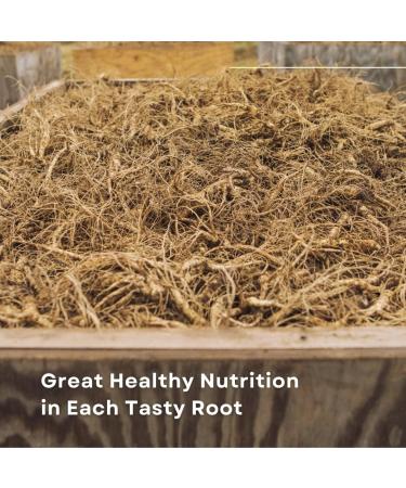 Baumann Wisconsin Ginseng Assorted Whole Roots 4 oz - 100% Natural Panax Ginseng Herb Pure Dried American Ginseng for Enhanced Energy - Buy Online on GoSupps.com