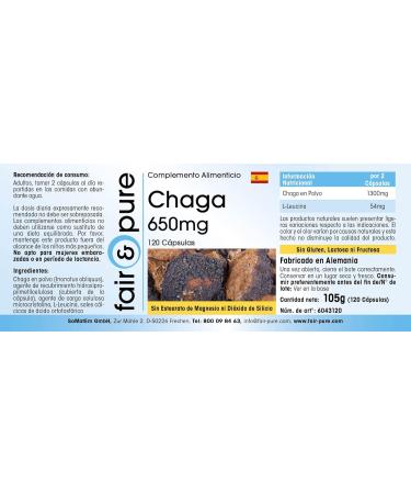 Fair & Pure - Chaga 650mg (Inonotus obliquus) - natural - vegan - 120 capsules - Buy Online on GoSupps.com