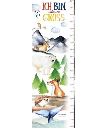 Close Up height chart poster/children's room wall picture for girls & boys/children's height chart 30 x 91.5 cm