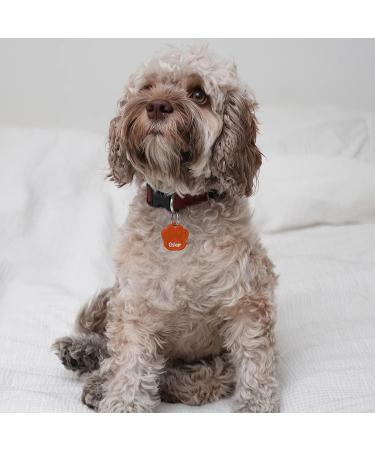 ENGRAVO Custom Dog Tag Paw in Orange 33mm | Personal Engraving & 2 Key Rings - Perfect for Pets - Buy Online on GoSupps.com