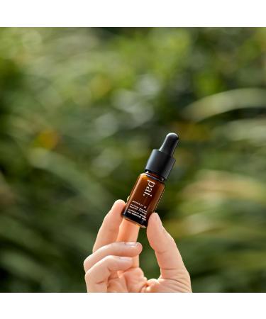 Pai Skincare - Phytofill 1% Firming Booster | Natural Vegan Sensitive Skincare (0.3 fl oz | 10 ml) - Buy Online on GoSupps.com