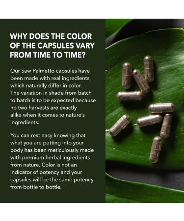 HAVASU NUTRITION Stinging Nettle Leaf Extract Liquid Drops (60 Servings) & Saw Palmetto Capsules (100 Servings) - Buy Online on GoSupps.com