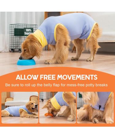 Avont Dog Recovery Suit - Postoperative Wound Protection for Neutered Males & Bitches - Blue (3XS) - Prevents Leak & Ensures Comfort - Buy Online on GoSupps.com
