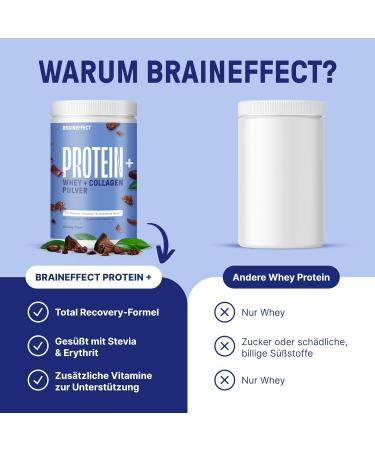 BRAINEFFECT PROTEIN+ | Sugar-Free Whey Protein Powder | Regeneration Boost | Creamy Cocoa Flavor | 630g - Shop Internationally - Buy Online on GoSupps.com