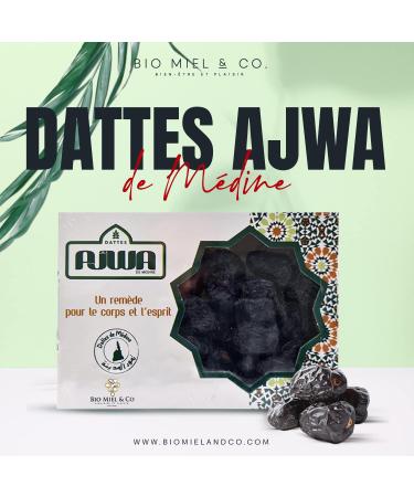 Nadaty Premium Ajwa Dates of Medina 400 g A Remedy for Body and Mind - Buy Online on GoSupps.com