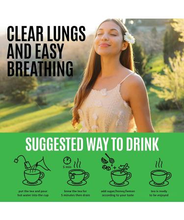 Organic 10-Day Lung Detox Tea for Respiratory Support - Buy Online on GoSupps.com