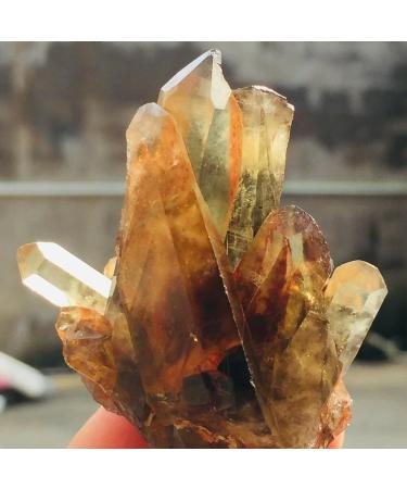 65g Natural Black Smoked Citrine Quartz Crystal Cluster Rough Specimen Suitable for Home ERTEYIN - Buy Online on GoSupps.com