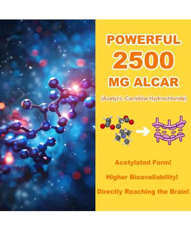 Acetyl L-Carnitine Gummies Sugar Free Premium L-Carnitine Supplement for Women & Men ALCAR Supplement for Energy Muscle Focus & Brain Support Gluten-Free Non-GMO Vegan Pineapple Flavor 60 Ct 60 Count (Pack of 1) - Buy Online on GoSupps.com