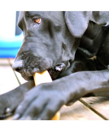 Himalayan Dog Chew - Hard Cheese Treats for Dogs 65 lbs & Under | 9.9 oz - Buy Online on GoSupps.com