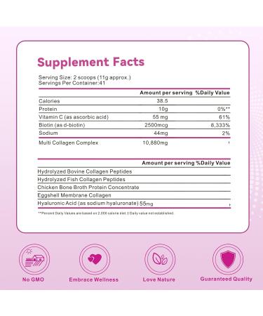 Multi Collagen Peptides Powder, 16 Oz (41 Servings) - Protein Supplement, Type I, II, III, V, X with Hyaluronic Acid, Vitamin C and Biotin, Unflavored, Easily Mixes in Drinks 16 Ounce (Pack of 1) - Buy Online on GoSupps.com