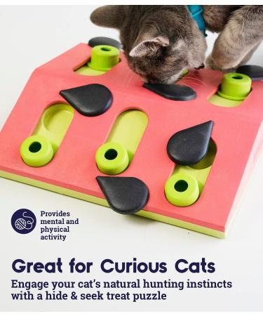 Petstages Nina Ottosson Melon Madness Interactive Cat Treat Puzzle - Buy Online on GoSupps.com