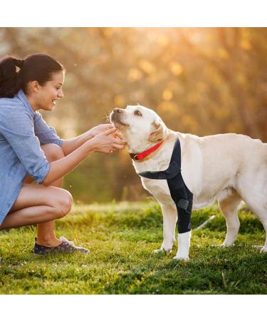 Hip Brace for Dogs Dog Back Leg Brace | Back Leg Hip Support with Metal Strip High Elasticity Breathable Leg Protector for Recovery Period Tmay Black Small - Buy Online on GoSupps.com