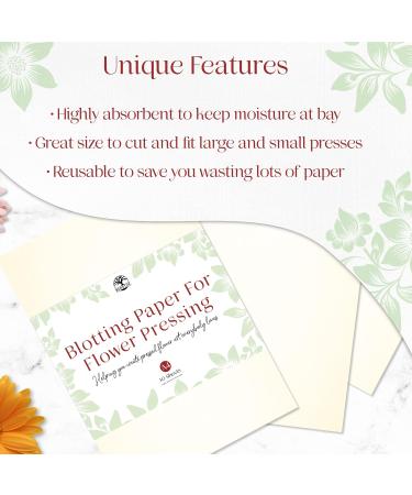 Berstuk Large A4 Flower Press Blotting Paper - Highly Absorbent & Reusable Herbarium Paper - 10 Count Pack of 10 Sheets - Cream - Buy Online on GoSupps.com