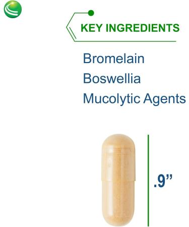 Nutra BioGenesis Pulmonary Factors - NAC & Boswellia Extract Capsules Digestive Cleanse Support and Joint Comfort for Adults - 90 Veggie Capsules - Buy Online on GoSupps.com