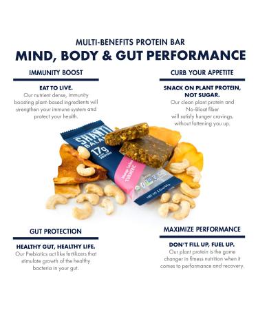 SHANTI BALANCE Mango Cashew Turmeric Bars - 17G Plant Protein, Organic, Gluten-Free, Superfood | 12 Count for Immunity & Performance - Buy Online on GoSupps.com