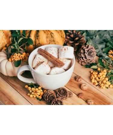 ESPIG Whole Cinnamon Stick 6-8cm 100g (Pack of 2) - Buy Online on GoSupps.com