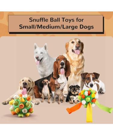 Larimuer Sniffing Ball for Dogs - Interactive Snuffle Toy for Small & Medium Pets - Portable Sniffing Car Toy (Green & Orange) - International Shipping Available - Buy Online on GoSupps.com