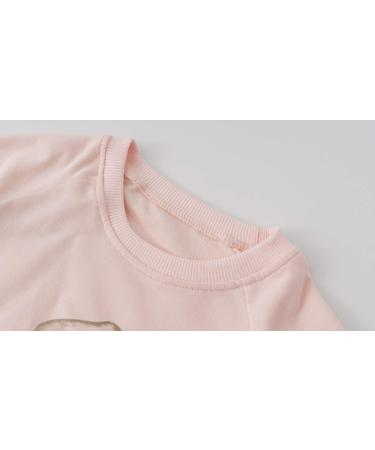 DHASIUE Baby Girls Unicorn Sweatshirt Jumper T-Shirt | Cute Long Sleeved Cotton Tee | Kids Toddler Clothes Ages 1-8 | Dinosaur/Pink Design - Buy Online on GoSupps.com