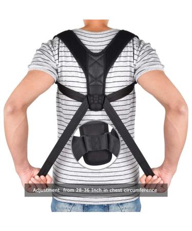 Back Posture Corrector Adult Back Support Shoulder Lumbar Brace Health Care Support Corset Back Belt A XX - Buy Online on GoSupps.com