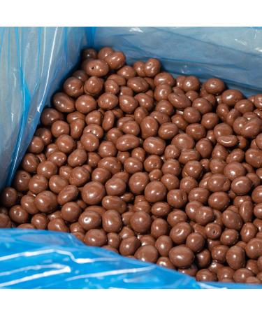 Snow Farms Chocolate Covered Blueberries Milk 11 lbs 11lbs