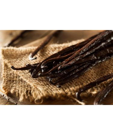 Rose Garden Natural Solid Perfume (Rose Garden 0.25 oz tin jar) Rose Garden 0.25 Ounce (Pack of 1) - Buy Online on GoSupps.com