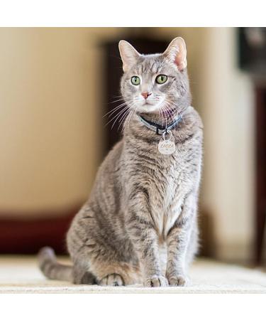Personalizable Silver Cat Tags with Engraving - Cute Cat Face Pendant by CAMAL | International Shipping - Buy Online on GoSupps.com