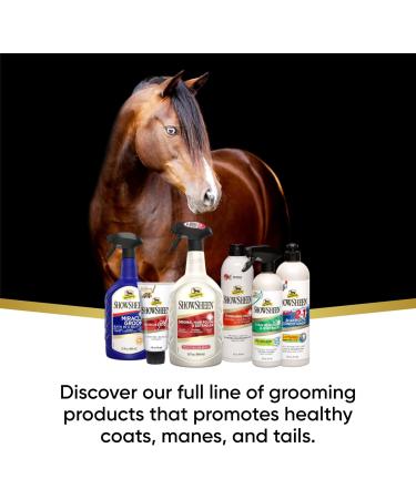 Buy ABSORBINE 428969 2-in-1 Shampoo and Conditioner 591 ml - Nourishing Hair Care for All Hair Types - Fast International Shipping - Buy Online on GoSupps.com