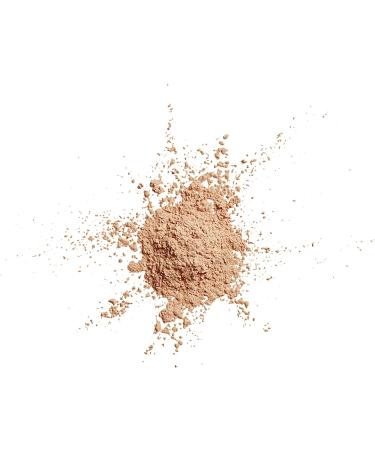 Covergirl Clean Professional Loose Powder 115 Translucent Medium - 0.7 oz | Shine-Free Finish - Buy Online on GoSupps.com