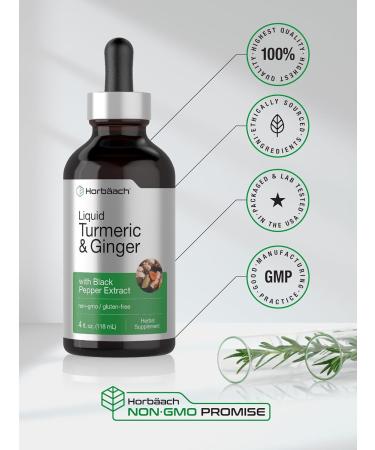 Horbaach Turmeric and Ginger Supplement Drops | 4 fl oz | with Black Pepper Extract | Herbal Liquid Tincture | Vegan Non-GMO & Gluten Free - Buy Online on GoSupps.com