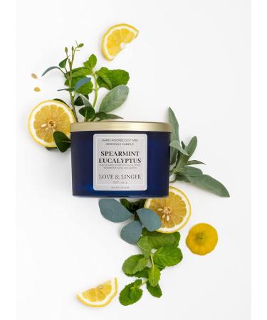 Aromatherapy Candle - Eucalyptus Luxury Soy & Beeswax 3 Wick - 16 oz Stress Relief & Relaxation Candle for Home - Buy Online on GoSupps.com