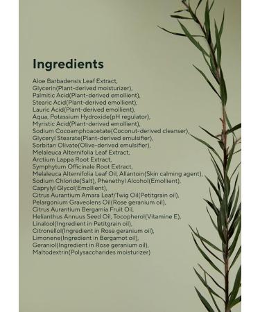 AROMATICA Tea Tree Balancing Foaming Cleanser 6.35oz | Vegan | EWG Verified - Buy Online on GoSupps.com