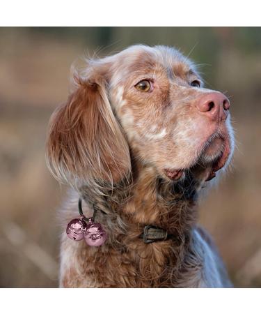 Buy DORUI Cat Bells - 4 Loud Copper Collar Bells for Cats & Dogs in Pink | International Shipping Available - Buy Online on GoSupps.com