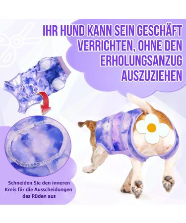 Eyein Dog Body After Op - Breathable Soft One-Piece for Wound Protection | E-Neck Band Alternative for Pets (Purple Size S) - Buy Online on GoSupps.com