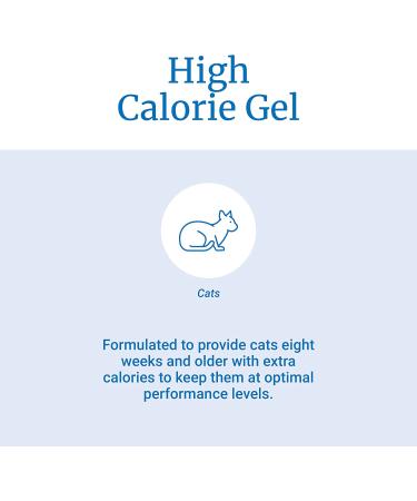 PetAg High Calorie Gel Supplement for Cats - 3.5 oz, 2 Pack - Maintain Optimal Performance Levels for Cats - Buy Online on GoSupps.com