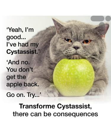 Transforme Cystassist Feline Urinary Tract Supplement Support for Cats of All Ages 45 Capsules - Buy Online on GoSupps.com