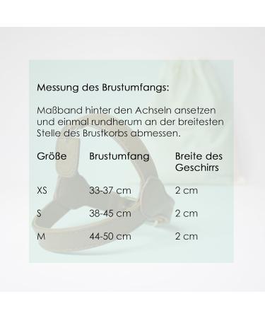 Muki & Co Adjustable Double Dog Dishes - Safe & Comfortable for XS Small & Medium Dogs - Brown (Size XS: 33-37 cm) - Buy Online on GoSupps.com