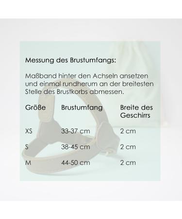 Muki & Co Adjustable Dog Dishes - Safe & Comfortable for Extra Small Small & Medium Dogs - Beige XS (33-37 cm) - Buy Online on GoSupps.com