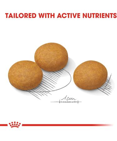 Royal Canin - Maxi Adult Dermacomfort Croquettes - 12 Kg Bag - Buy Online on GoSupps.com