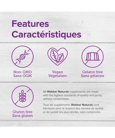 Webber Naturals Turmeric Curcumin Gummy 1 260 mg of Raw Herb 120 Gummies Antioxidant Support Vegan Herbal Supplement - Buy Online on GoSupps.com
