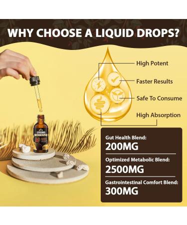 Berberine Supplement Liquid Drops - High Bioavailability Liposomal Berberine Supplements Berberine HCL Complex with Ceylon Cinnamon Plus Turmeric Suitable for Women Men-60ml 2 Fl Oz (Pack of 1) - Buy Online on GoSupps.com