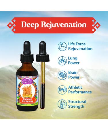 Dragon Herbs Cultured Cordyceps Drops Tibetan Wild Strain Mushroom Supplement Deep Rejuvenation Lung & Brain Power Stamina Triple Extractions Cordycepin Vegetarian 2 fl oz 60ml Tincture - Buy Online on GoSupps.com