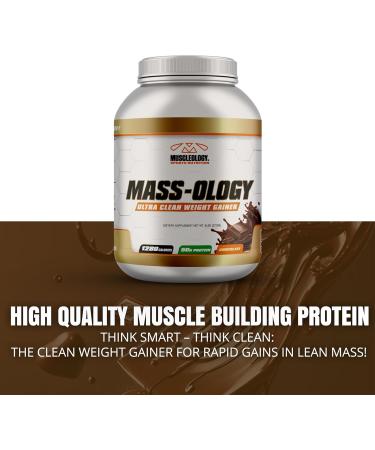 Weight Gainer Whey Protein Powder - Muscle Builder for Men & Women - Chocolate Flavor 6 lbs | International Shipping Available - Buy Online on GoSupps.com