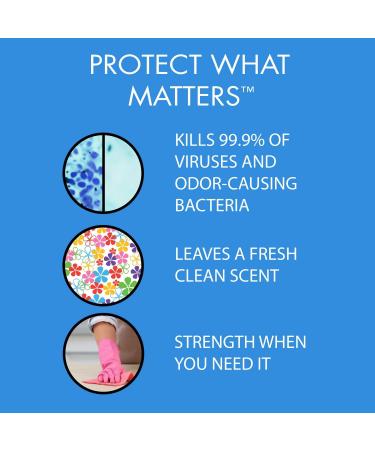 Laboratories in-Cide Multi Surface Fresh Disinfectant Cleaner 6 Pack (24oz) - Effective Fast-Acting & Safe for All Surfaces | International Shipping Available - Buy Online on GoSupps.com